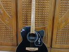 Electric Guitar