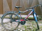 Seventy One Cycle