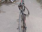 Seventy One cycle