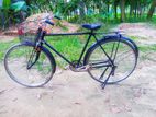 Bicycle for sell