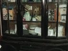shagun kater cabinet bikre hobe