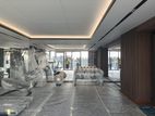 Shanta Development(5750 SqFt Brand New Apartment For Rent # Gulshan-2