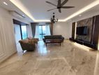 Shanta Luxurious Furnished Apartment Rent Baridhara Diplomatic Zone
