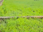 শেয়ার হোল্ডার প্রয়োজন