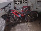 shift gear Cycle selll hobe