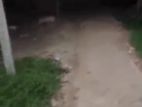শিরোমণি বিসিক শিল্পনগরী জমি বিক্রয়