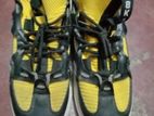 Shoe For Sale