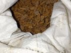 শুকনা হলুদ