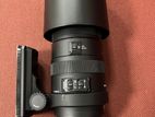 Sigma 150-600 Nikon Mount