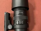 Sigma 150-600 Nikon Mount