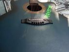 Signature 265 Acoustic guitar