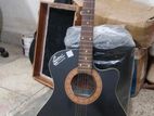 Signature Acoustic 265 Guitar