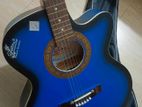 Signature Acoustic AG52CP Blue Guitar
