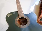 Signature Acoustic Guitar – (urgent Sale)