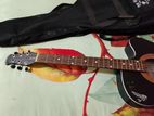 signature companyr guitar bikri hobe