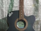 Signature Guitar