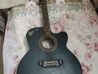 Signature Guitar