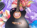 signature guitar 265 bk Indian