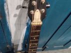 Signature guitar acoustic sell