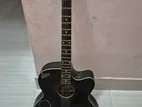 Signature Guitar