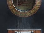 Signature Guitar