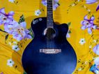 Signature Guitar
