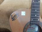 Signature Guitar