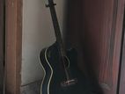 Signature Guitar Indian