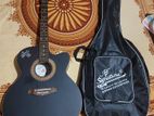 signature guitar topz 265