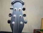 Signature Roghu 265-Acoustic Guitar (Bose Enterprise)