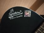 Signature Topaz 265 Acoustic Guitar