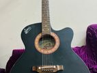 Signature Topaz 265 acoustic guitar indian (black)