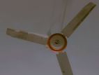 Silica Ceiling Fan