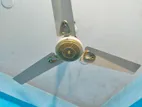 Ceiling Fan for Sale
