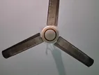 সিলিং ফ্যান