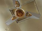 Ceiling Fan For Sell