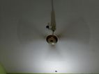 Selling Fan