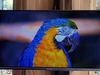 SINGER-32" Inchi Google Borderless Voice Control TV