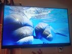 Singer 4K Frameless 50" Android Voice Control TV