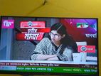 Singer Tv