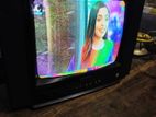 singer tv