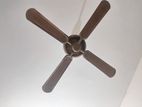 Fan for sell