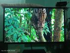 Singer ultra slim model 32"