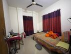 Single Room Rent (sublet) For Female Only from Feb 2025