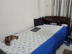 Single / Semi Double Bed - Regal, 7'X4', Condition: Good