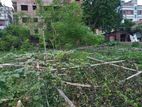 সিটি হোল্ডিং ভূক্ত বাড়ির জমি বিক্রি।