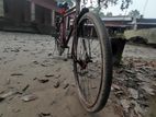 Bicycle for sell