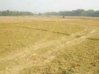 জমি বিক্রি হবে।