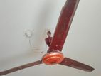 Fan for sell