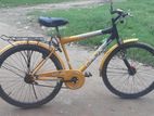 স্মার্ট ও ফ্যাশনেবল সাইকেল